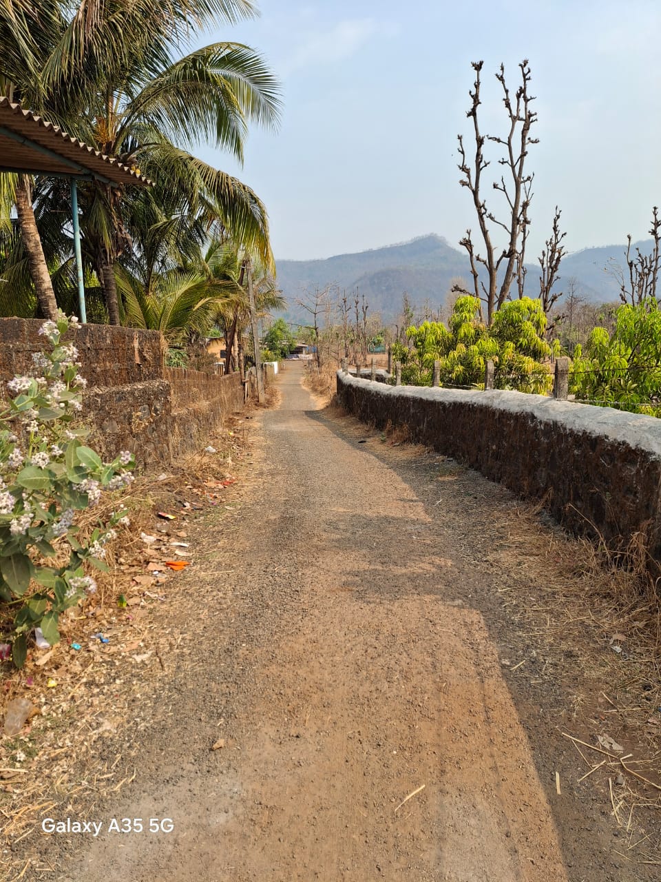 75-bungalow-cec0eb30-9d24-44fa-acfa-62e9ce93a94c.jpeg