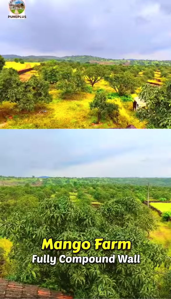 76-agriculture-plot-98ec6df0-0040-4e48-9d48-79837350e228.png