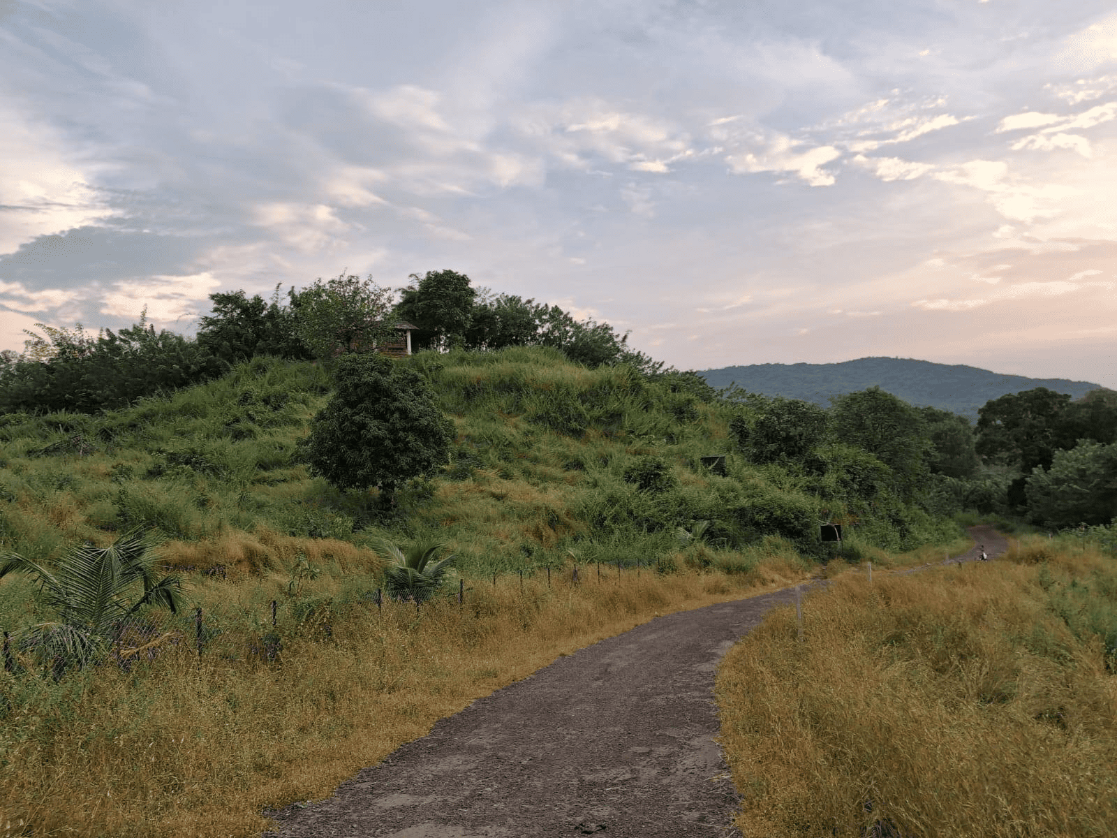 Murud-Indapur - 55 Gunthe Wadi with House