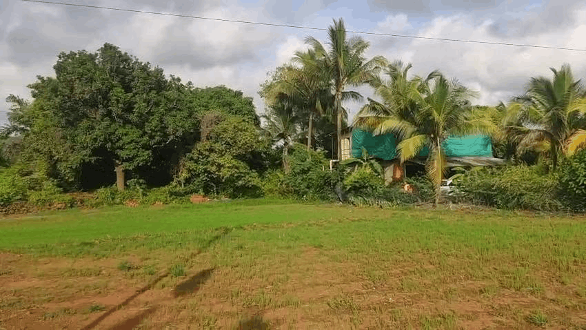 Ratnagiri-Dapoli-Kelshi - 11 Gunthe Plot for Sale