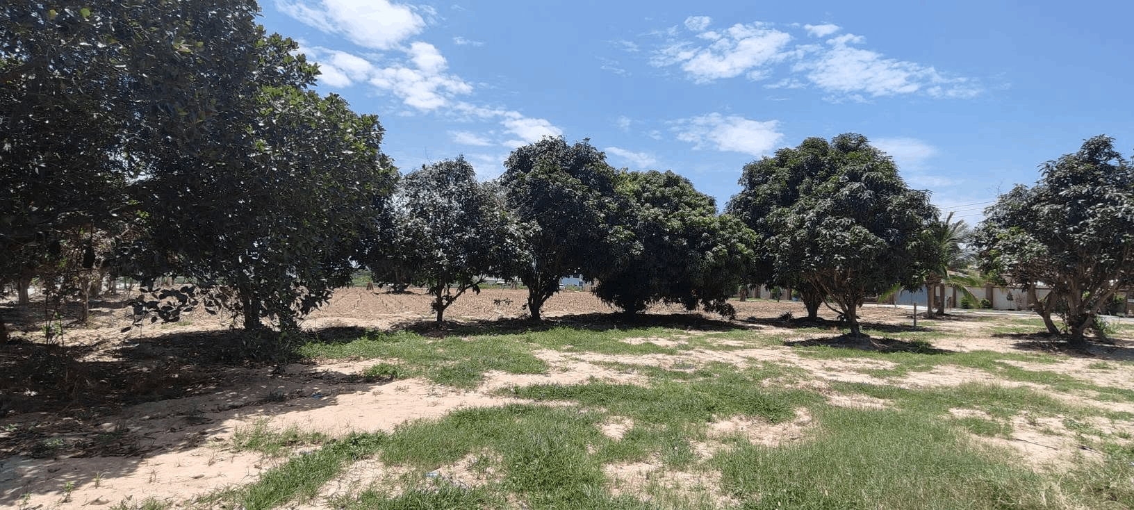 Thailand-Pattaya-Bang Saray - 5000 SQFT (3 Plots) for Sale