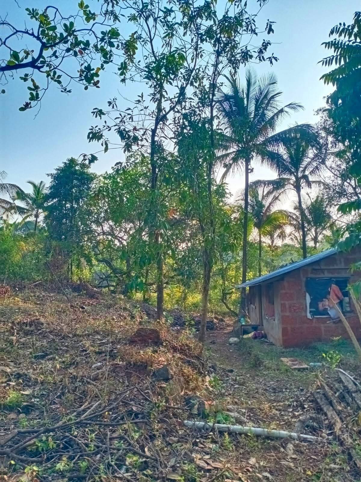 Ratnagiri-Lanja-Shiposhi - 5 Acre River Touch Wadi with 1000 SQFT Chira House for Sale