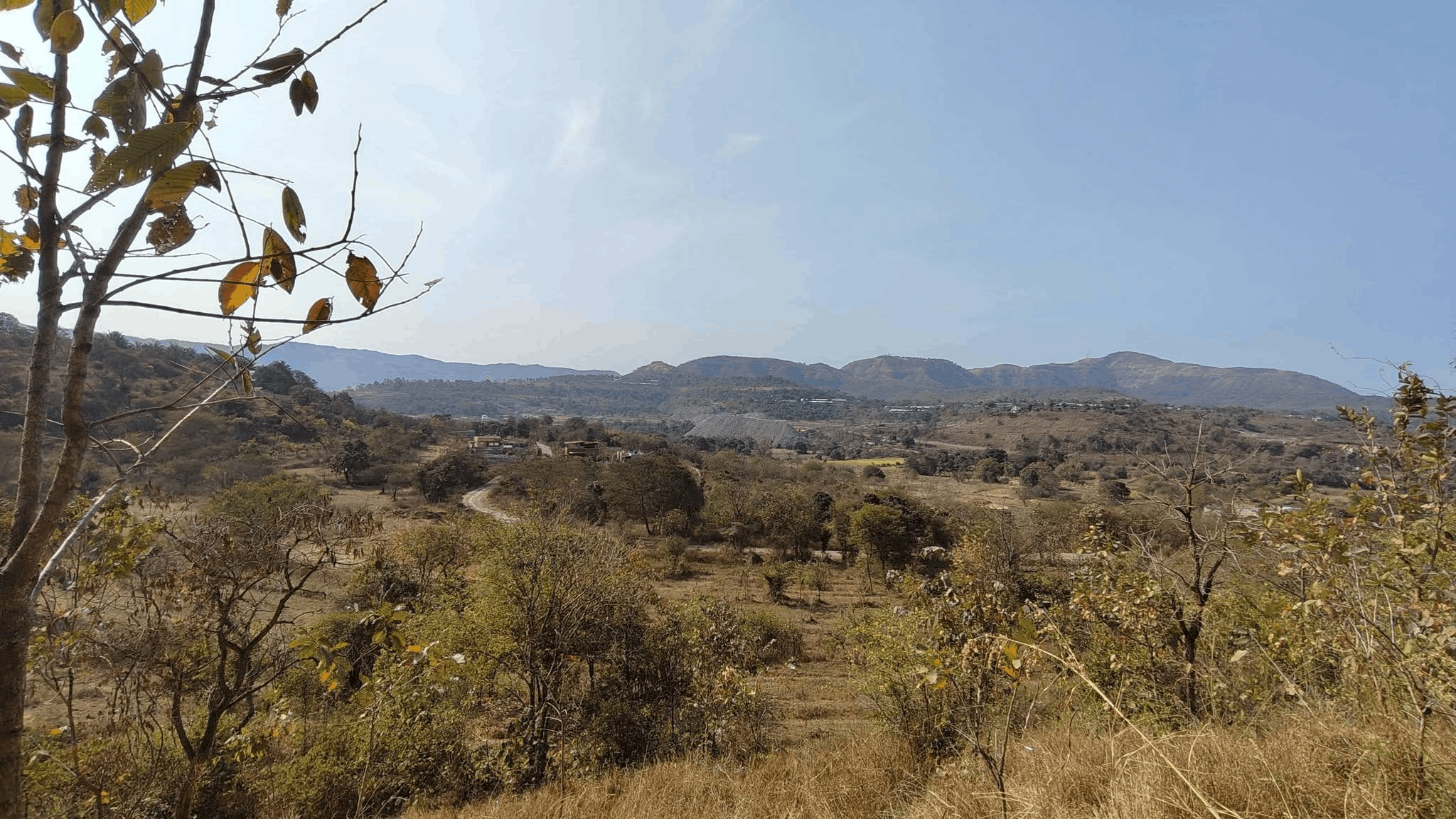 Pune-Panshet Road-Anandvan Society - 20 Gunthe Plot for Sale