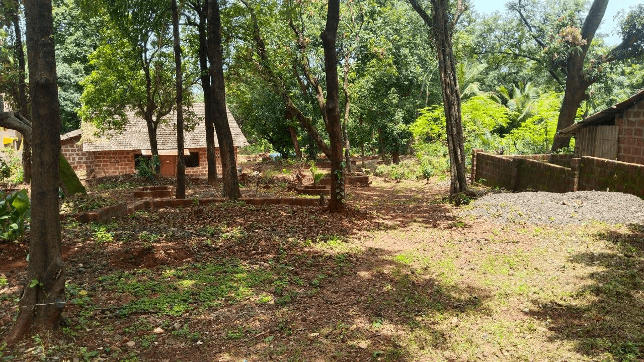 Ratnagiri-Basani - 11 Gunthe Wadi & 30 Gunthe Wadi with House