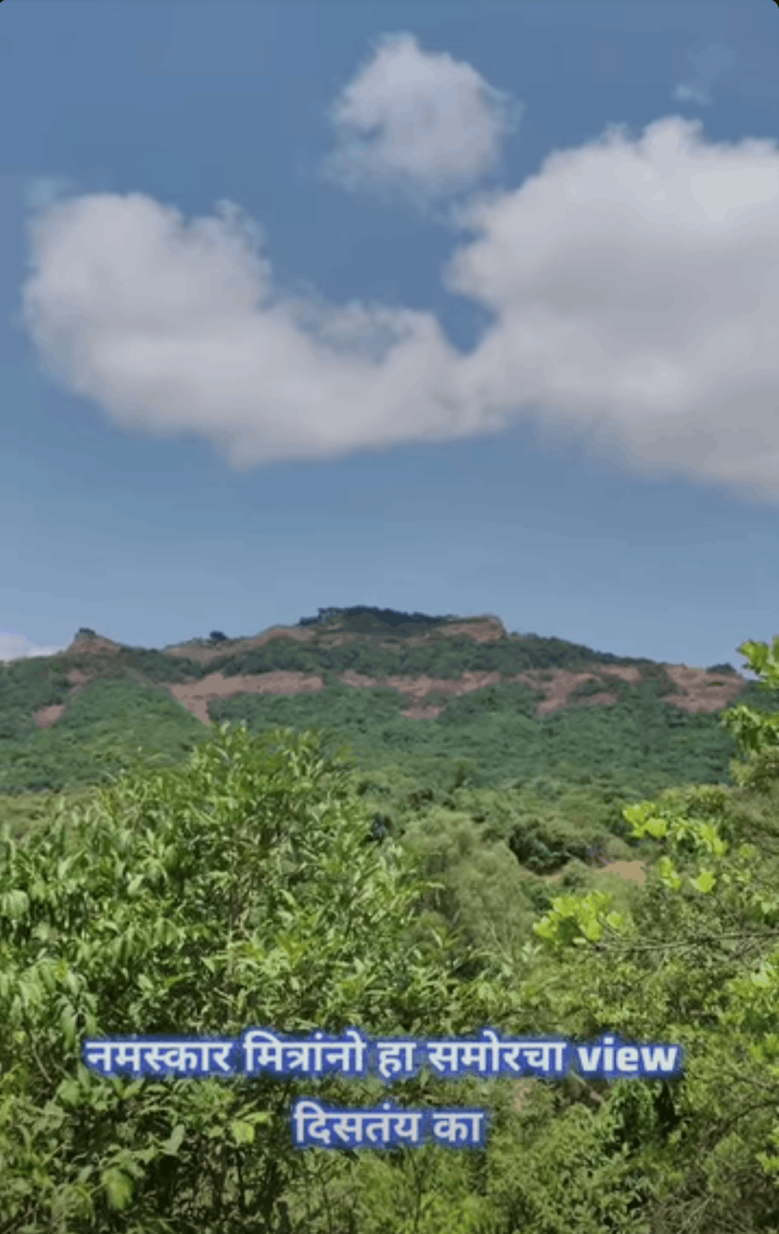 Mahabaleshwar-Kumbhroshi-Near Pratapgad Fort - 55 Gunthe Land for Sale
