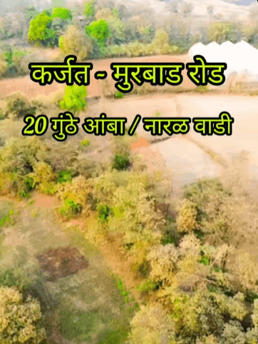 Karjat-Murbad Road-Borivali Gaon - 20 Gunthe Wadi for Sale