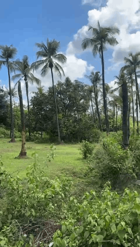 Konkan-Sawantwadi - 7 Acre Land for Sale
