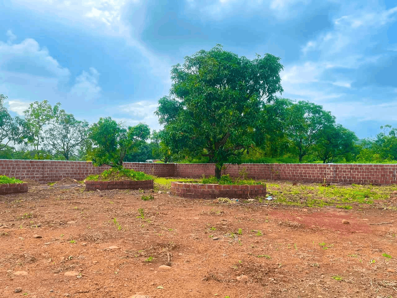  Konkan-Kashid Beach - Premium 16 Gunthe Well-Developed Plot for Sale with 30+ Ready Fruit Plantations