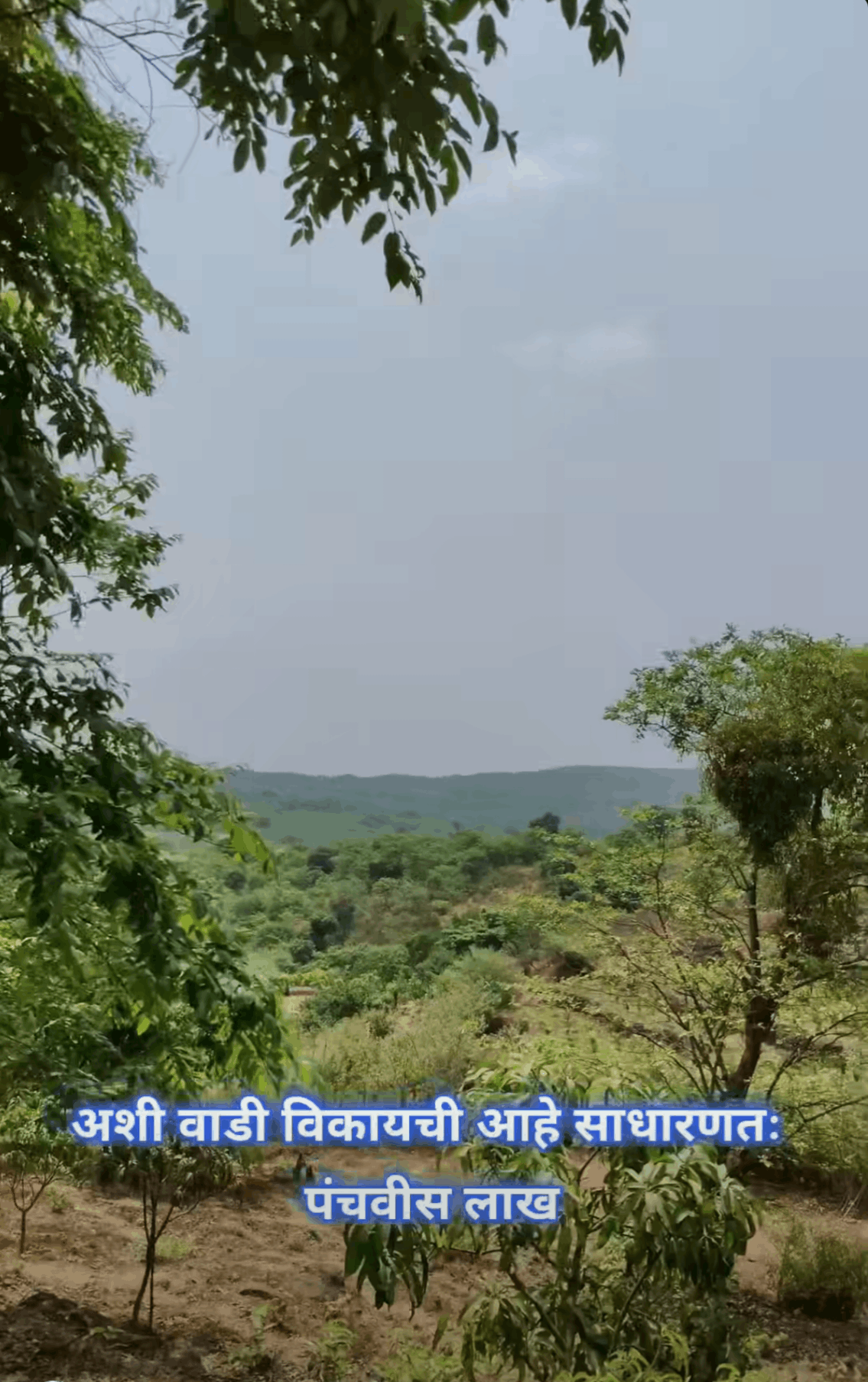 Konkan-Murud-Kelghar Road - 7.5 Acre Mango & Cashew Baug for Sale