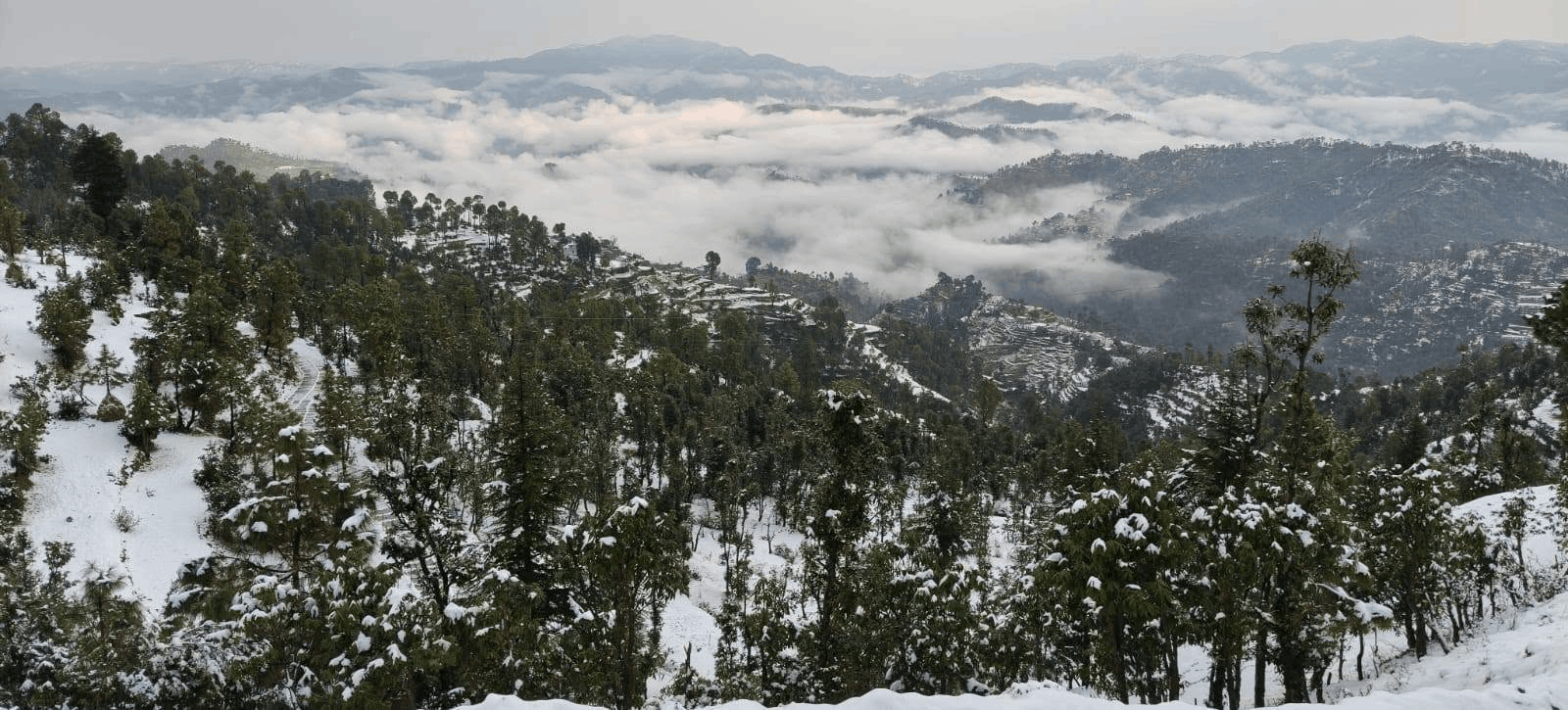 Uttarakhand-Ranikhet-Almora-Jalna Village - Villas & 3000 SQFT Plots for Sale