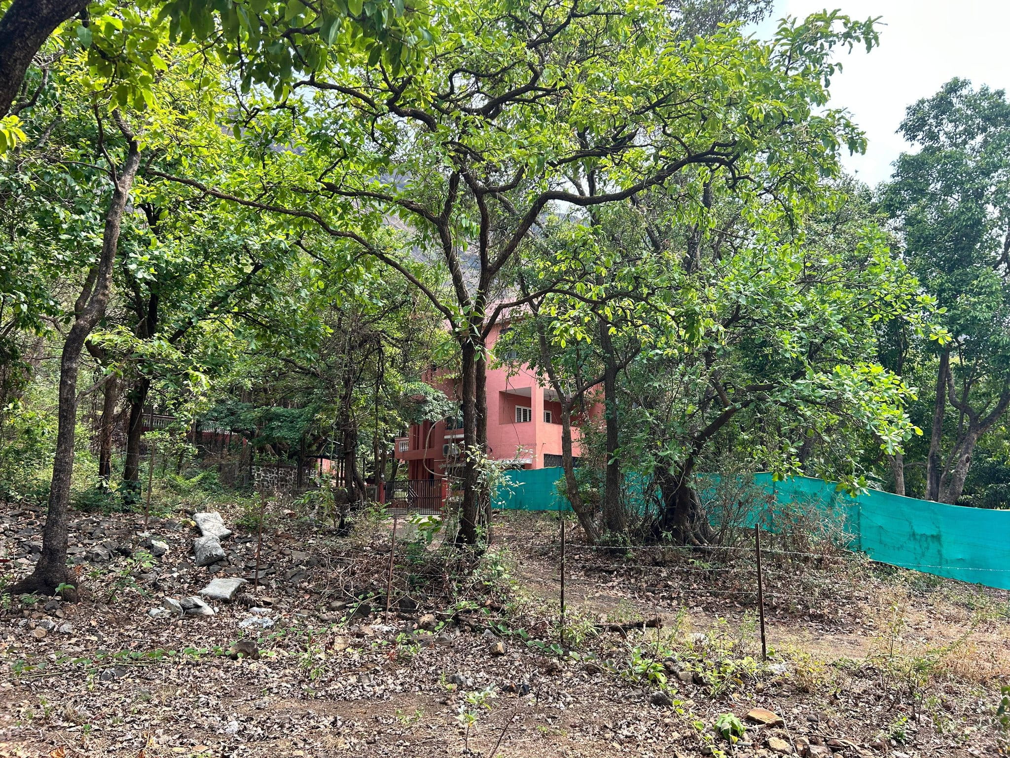 Girivan-Mulshi - 25 Gunthe Farmhouse Plot in 1000 Acre+++ Project for Sale