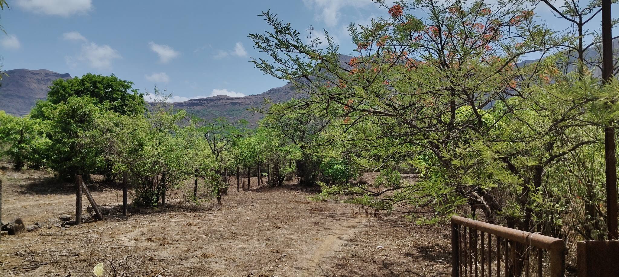 Mulshi-Nandivali-Nisarg Farm - 1 Acre Farmhouse Plot for Sale 