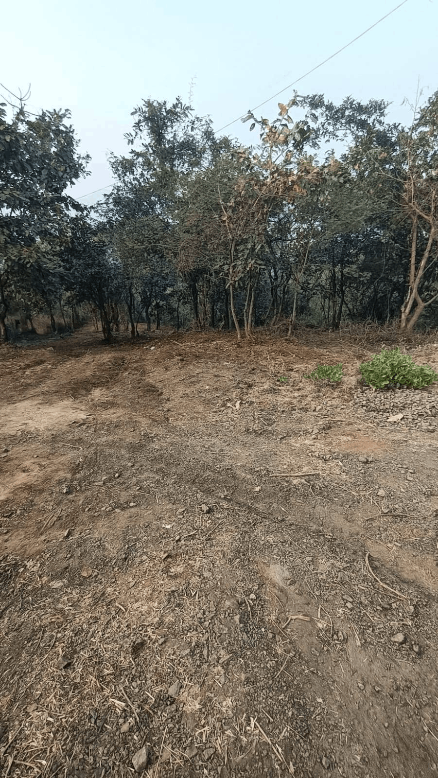 Pune-Mulshi - 31 Gunthe Farmhouse Plot with Beautiful View for Sale